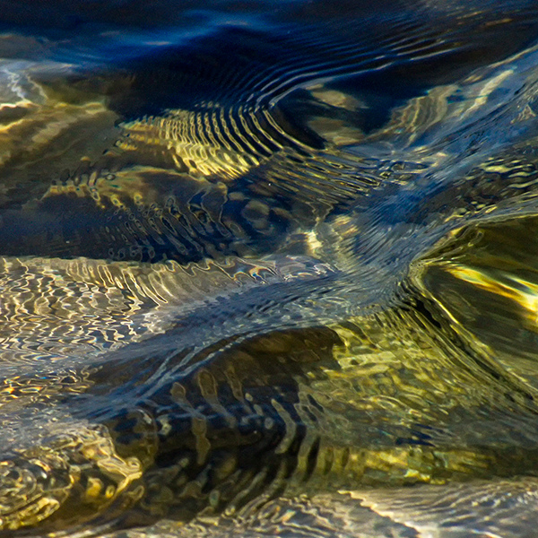#27 SEEING THROUGH - SEEING THROUGH PROJECT (as submitted to LensWork magazine)
