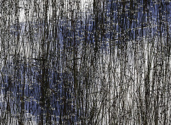 BLACK & BLUE - OCTOBER, 2018 - THE BRUCE, OCTOBER 2018