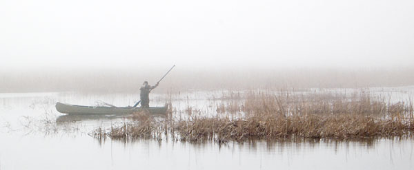 PUNT -LONG POINT MARSH - THE MARSH