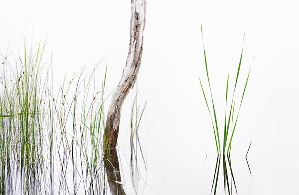 ZEN, CABOT HEAD - BRUCE PENINSULA - LARRY'S TENSET, 2015