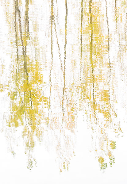 OCTOBER REFLECTIONS #2 - LONG POINT - ABSTRACTS & IMPRESSIONS