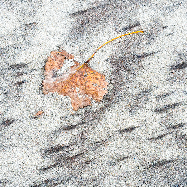DASHES - LONG POINT BEACH - PHOTO STORAGE