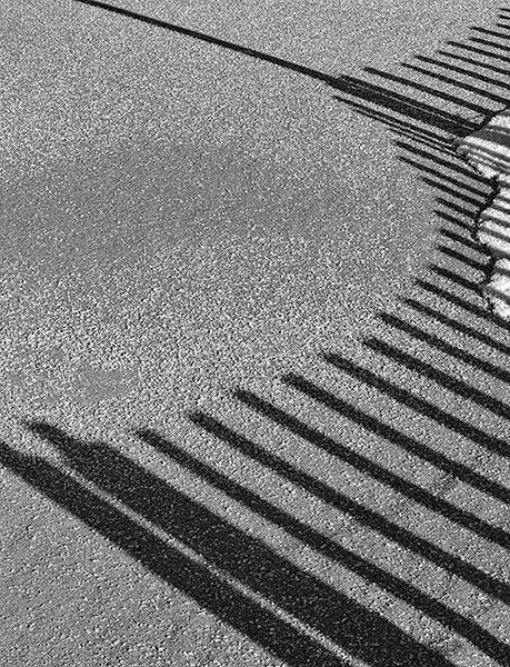 SAND FENCE AND SHADOWS #2, 2016 - LONG POINT BEACH - SNOW/SAND FENCES, LONG POINT
