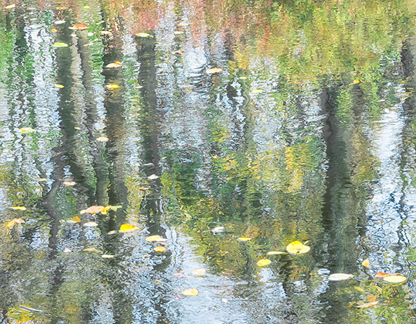 BIG CREEK, OCTOBER - NORFOLK COUNTY - AUTUMN