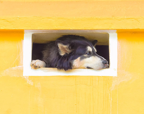 SIESTA - TRINIDAD, CUBA - CUBA