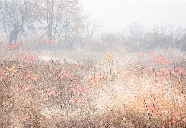 OCTOBER 2012 #7 - NORFOLK COUNTY - THE MEADOW PROJECT