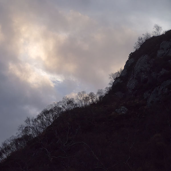 HILLSIDE - LOCH MAREE - SCOTLAND