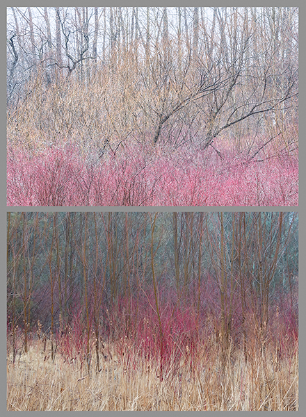 HE/SHE #25, 2019 - HE SAW/SHE SAW 2018-2019