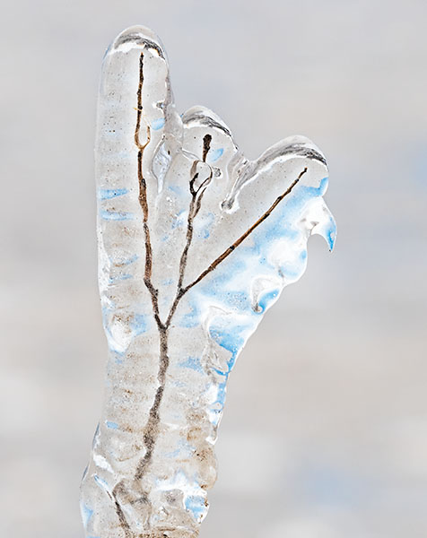 LAKE ERIE ICE, 2019 - LONG POINT - AT HOME