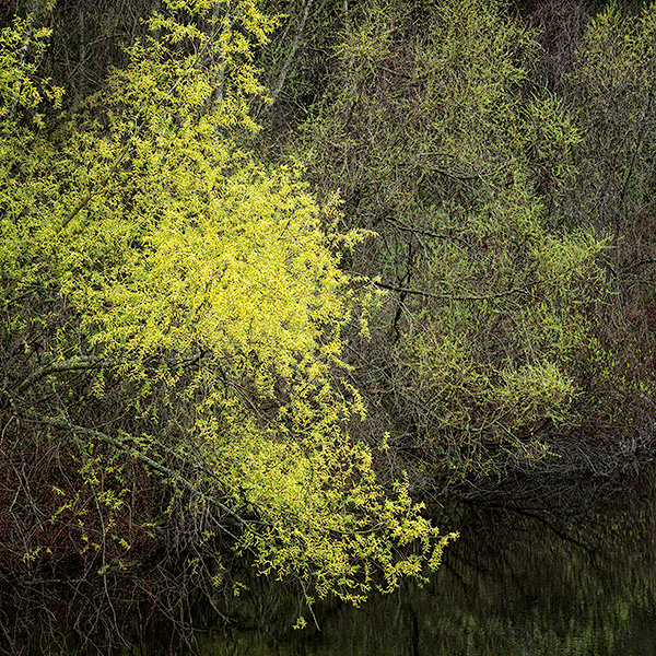 April, 2017 #14 - Norfolk County - SPRING