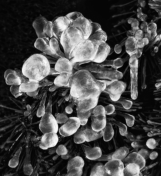 ICE FLOWER - NIAGARA FALLS - B&W - IN THE COUNTRY