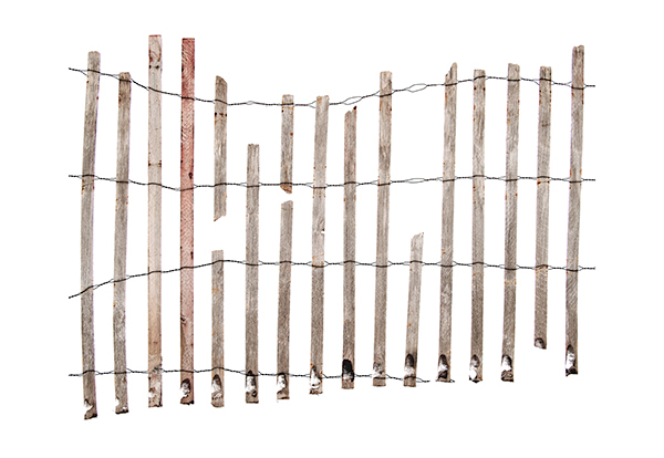 Fence As Sculpture - Sand Fences Of Long Point Beach
