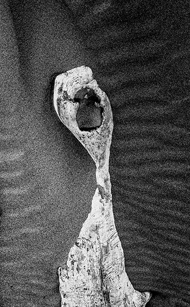 THE SCREAM - LONG POINT BEACH - KATHY'S TENSET, 2016