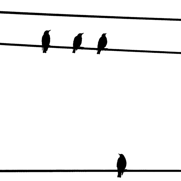 Odd Man Out - Avian Graphics