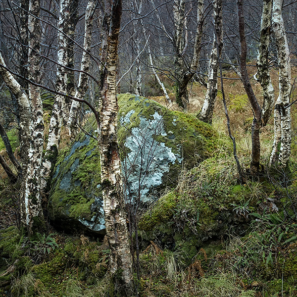ERRATIC #2- LOCH MAREE, SCOTLAND - SCOTLAND