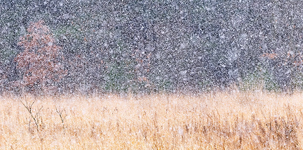 March Snow Squall #1 - New Works