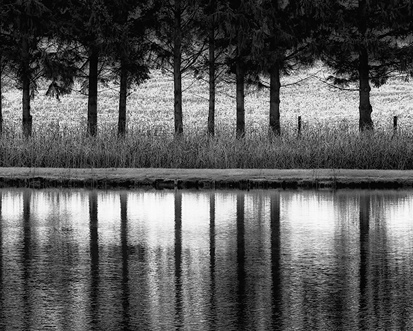 AT LEE BROWN'S - NORFOLK COUNTY - B&W - IN THE COUNTRY