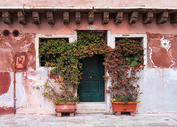 VIRGINIA CREEPER - VENICE - VENICE IN COLOUR