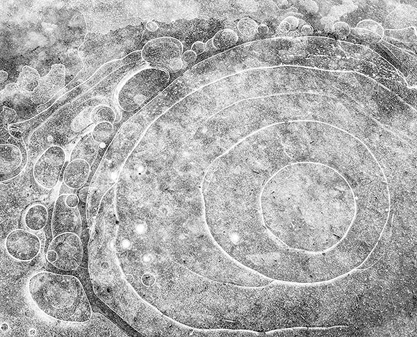 ICE ABSTRACT - LONG POINT BEACH - B&W