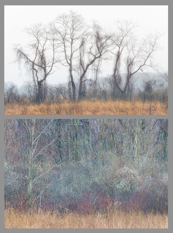 HE/SHE #27, 2019 - HE SAW/SHE SAW 2018-2019