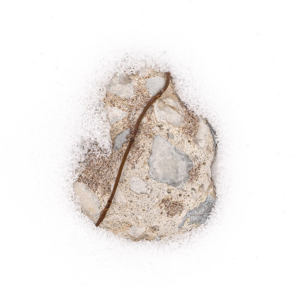 Winter Stone--Long Point Beach - New Works