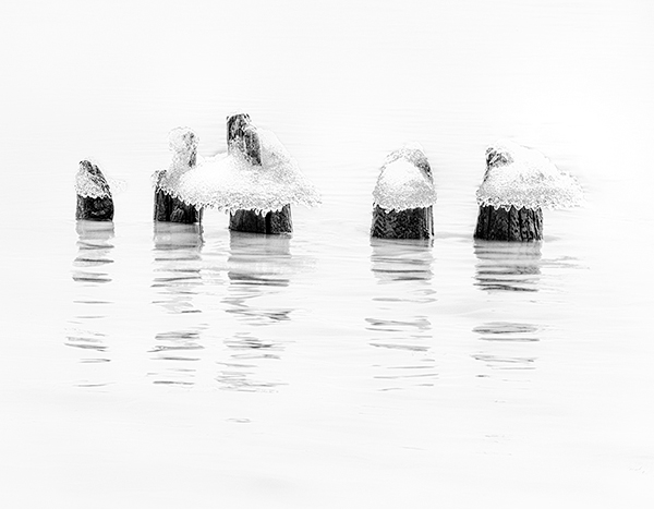 ICE CAPS, 2018 -  LONG POINT - DETAILS