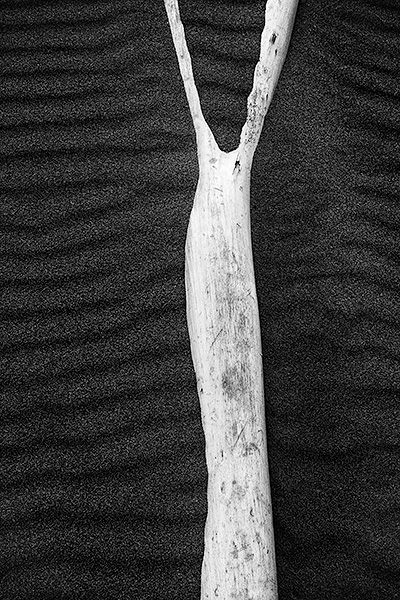 DRIFT - LONG POINT BEACH - B&W