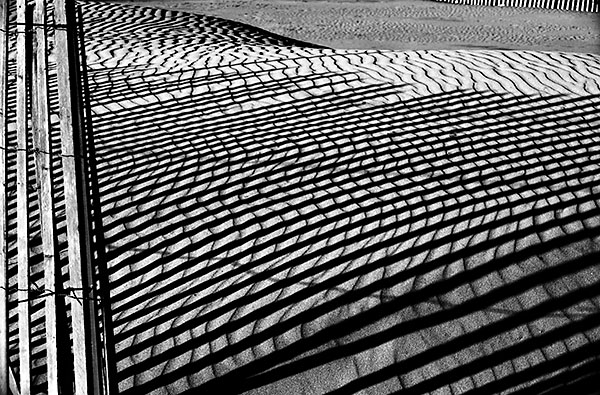 SAND SHADOWS - LONG POINT BEACH - SNOW/SAND FENCES, LONG POINT
