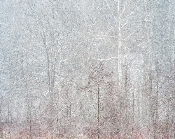 ROAD 7 - NORFOLK COUNTY - WINTER