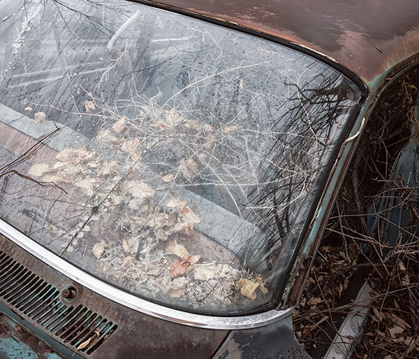 NOVEMBER REFLECTIONS, 2014 - THE WRECKING YARD PROJECT