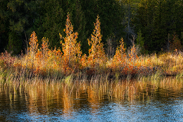 DORCAS BAY ROAD, 2017 - BRUCE COUNTY - OCTOBER 2017