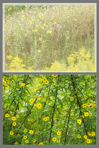 HE/SHE, 2015 #14 - PHOTO STORAGE