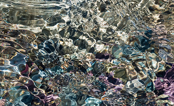 #31 SEEING THROUGH - SEEING THROUGH PROJECT (as submitted to LensWork magazine)