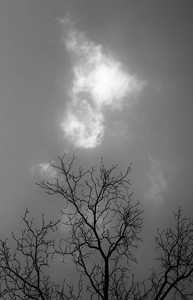WALNUT & CLOUD - PORT RYERSE - PHOTO STORAGE