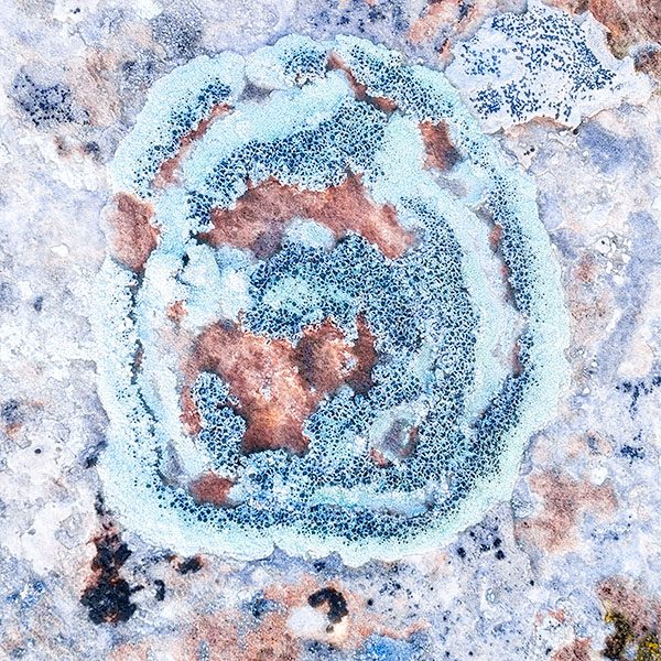 LICHEN, CANYONLANDS NP - UTAH - THE SOUTHWEST 2018