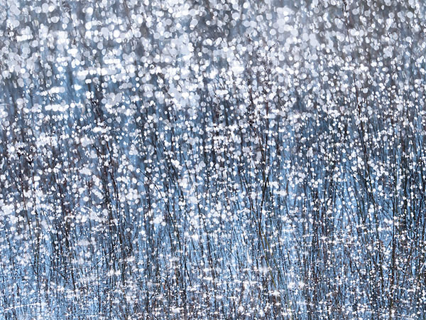 SPECULAR HIGHLIGHTS - SINGING SANDS - THE BRUCE, OCTOBER 2018