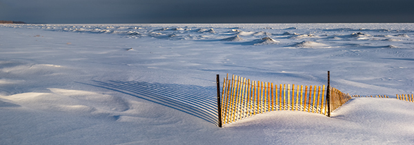 Fence and Shadows--Evening Light - Sand Fences Of Long Point Beach