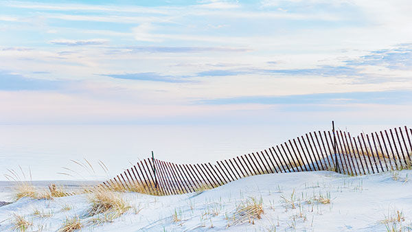 SAND FENCE #2 - LONG POINT BEACH - SNOW/SAND FENCES, LONG POINT