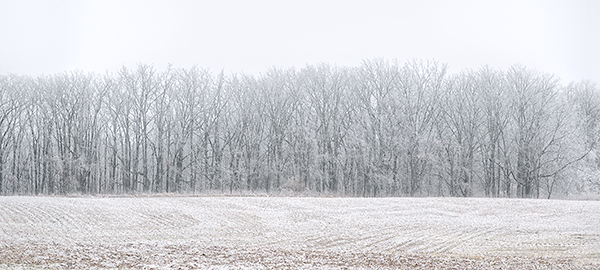ICE FIELD - NORFOLK COUNTY - AT HOME