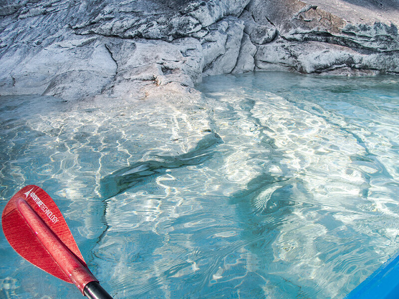 Lion's Head #6 - From My Kayak 2026
