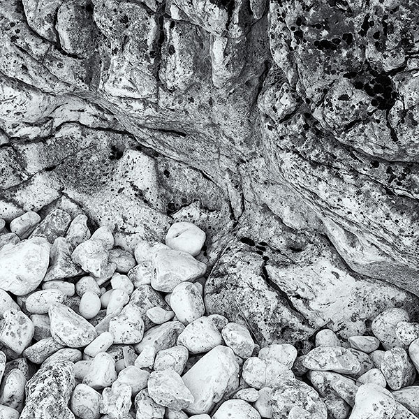 ROCK STUDY, LITTLE COVE - BRUCE COUNTY - BLACK AND WHITE