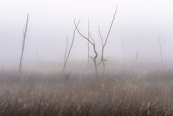 Sky Lake--September Fog - New Works