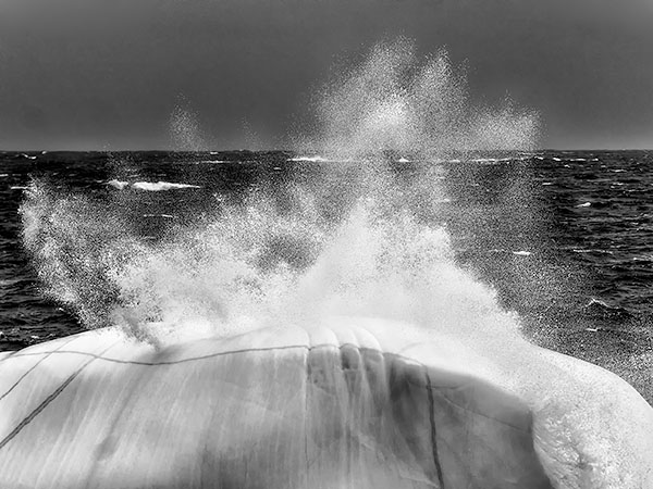 JUNE GALE - FOGO ISLAND - NEWFOUNDLAND