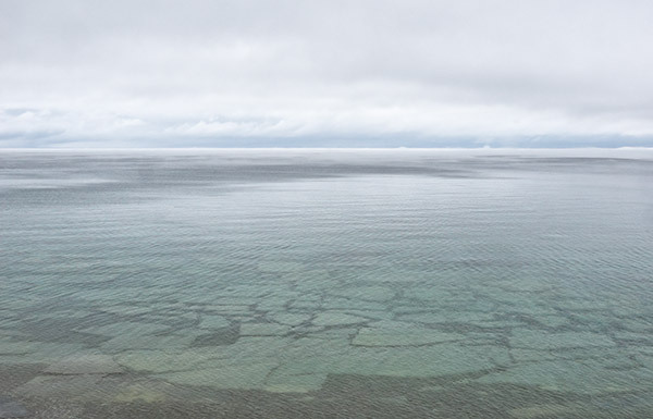 Fog--Dyers Bay - New Works