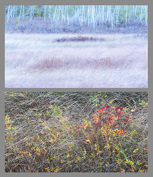 HE/SHE 2018 #7 - HE SAW/SHE SAW 2018-2019