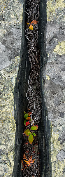 CLEFT - ACADIA NP, MAINE - LARRY'S TENSET, 2014