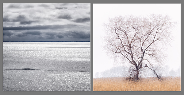 HE/SHE, 2015 #41 - PHOTO STORAGE