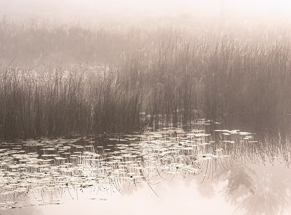 Rankin River-September Fog - New Works