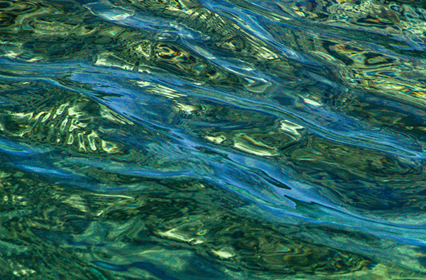 #23 SEEING THROUGH - SEEING THROUGH PROJECT (as submitted to LensWork magazine)