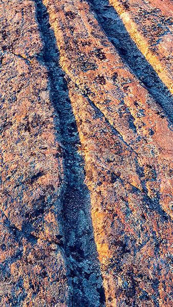 TRACKS - FRANKLIN ISLAND - FRANKLIN ISLAND, NORTH -  GEORGIAN BAY